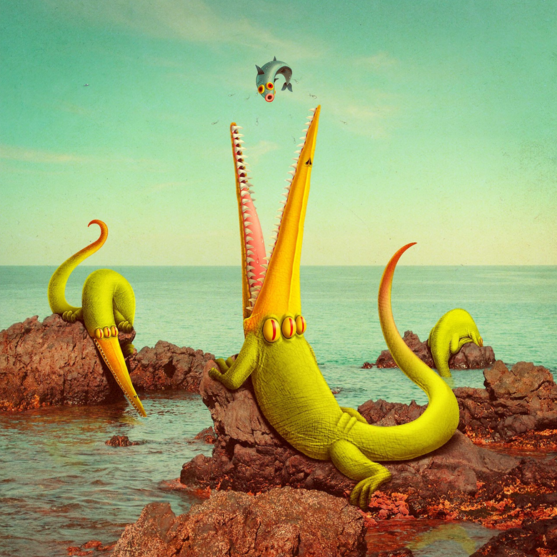 portfolio image